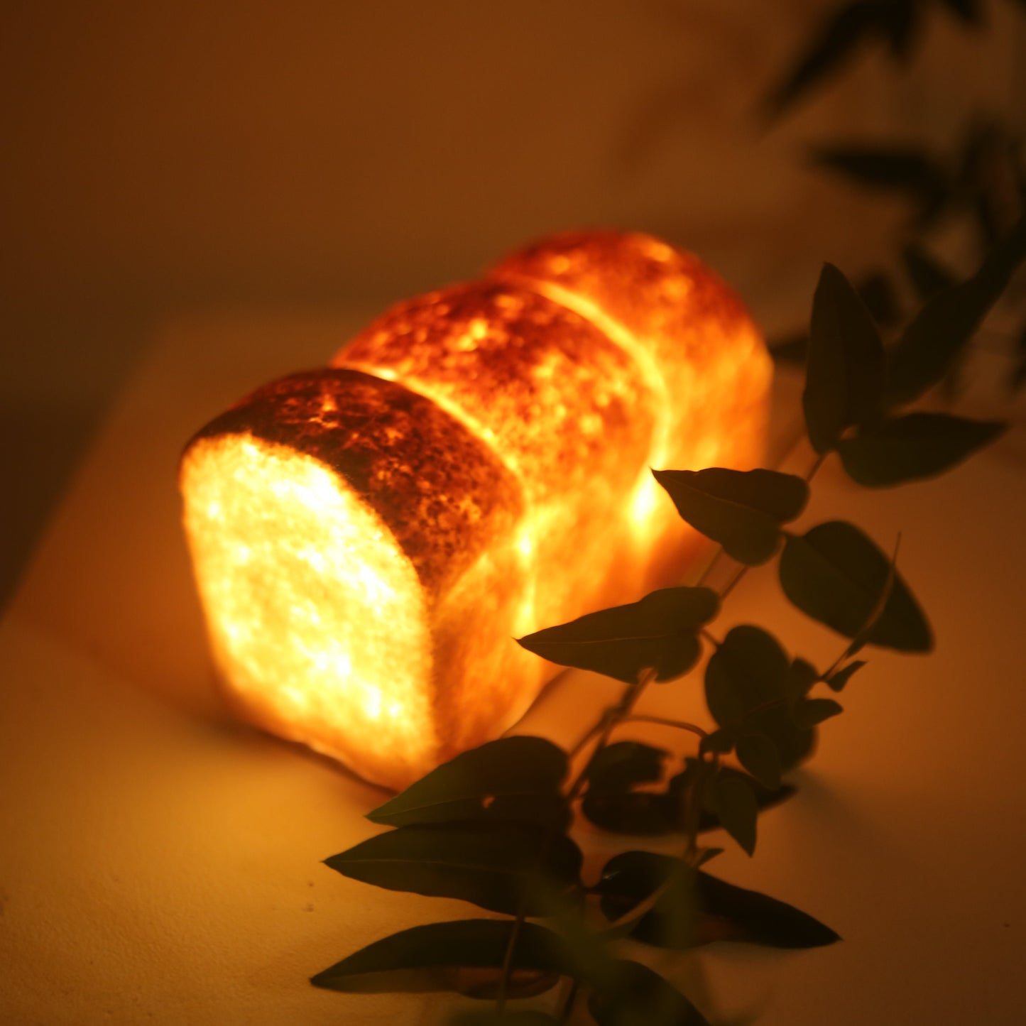 #5【Limited quantity】Bakery 360° x PAMPSHADE (outlet type)