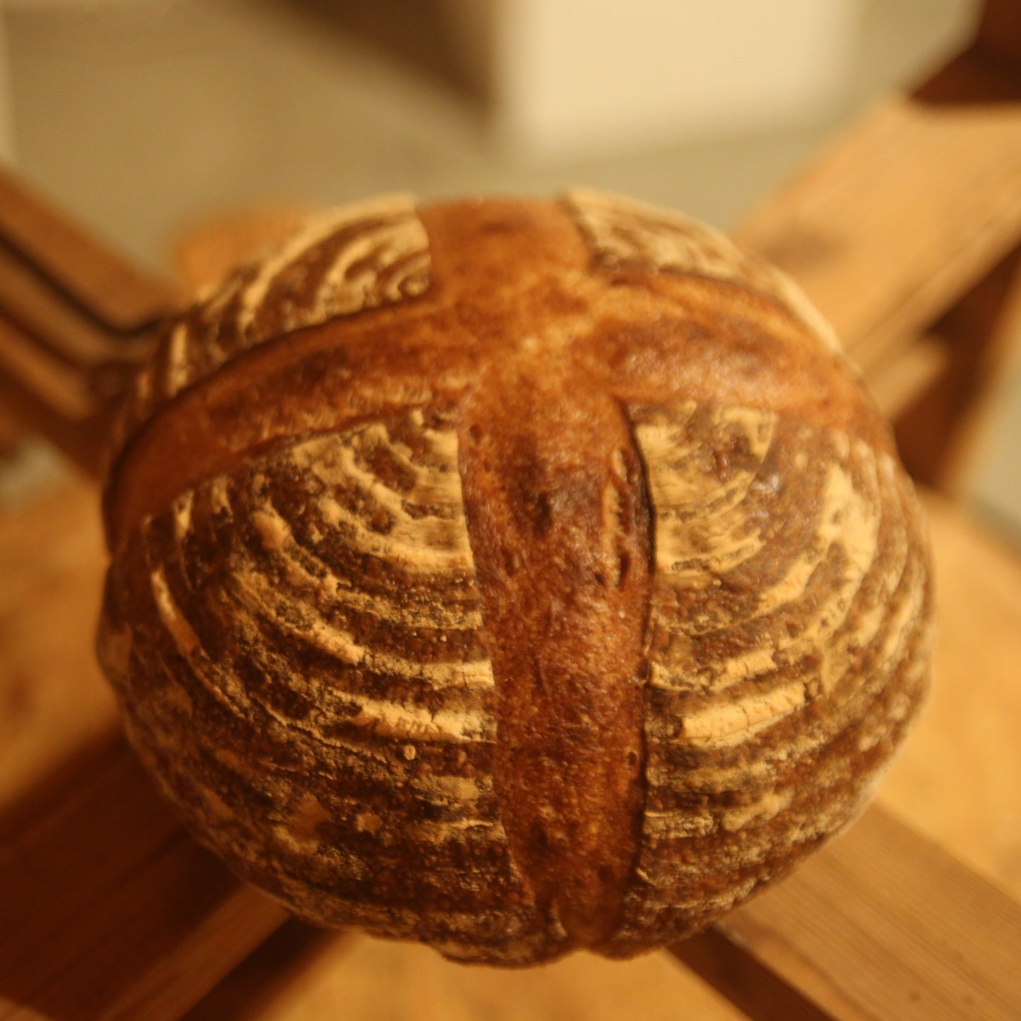 #1 【Limited quantity】Bakery 360° x PAMPSHADE (outlet type)