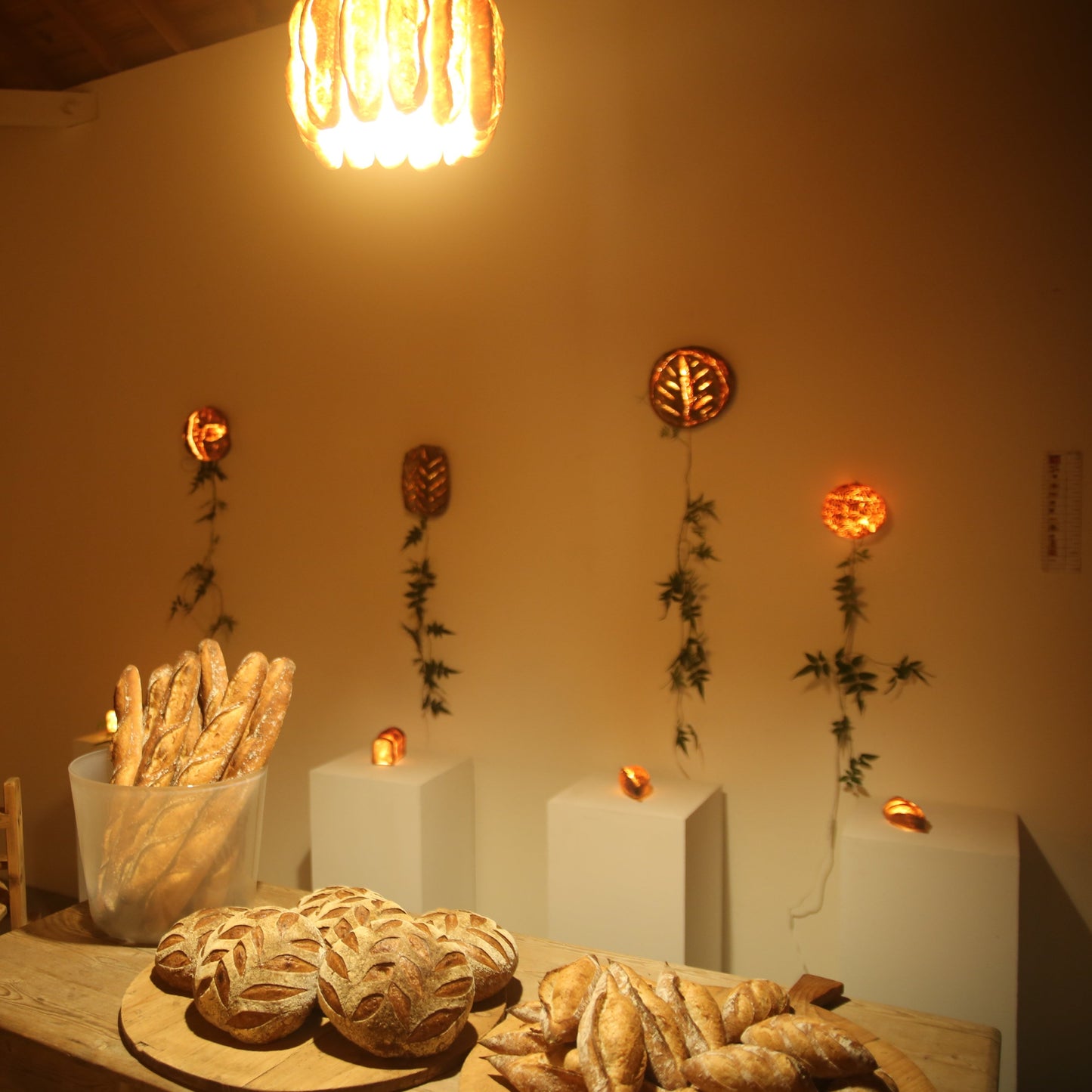 #1 【Limited quantity】Bakery 360° x PAMPSHADE (outlet type)