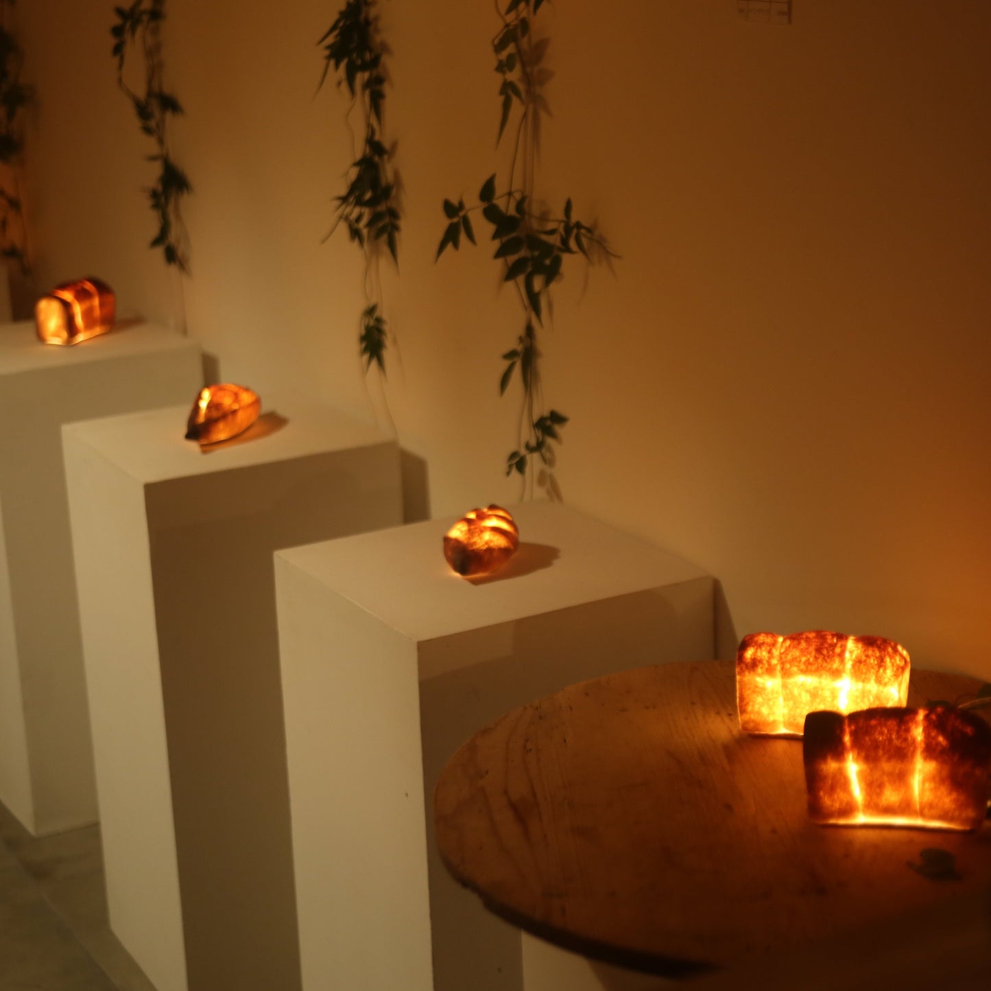 #5【Limited quantity】Bakery 360° x PAMPSHADE (outlet type)