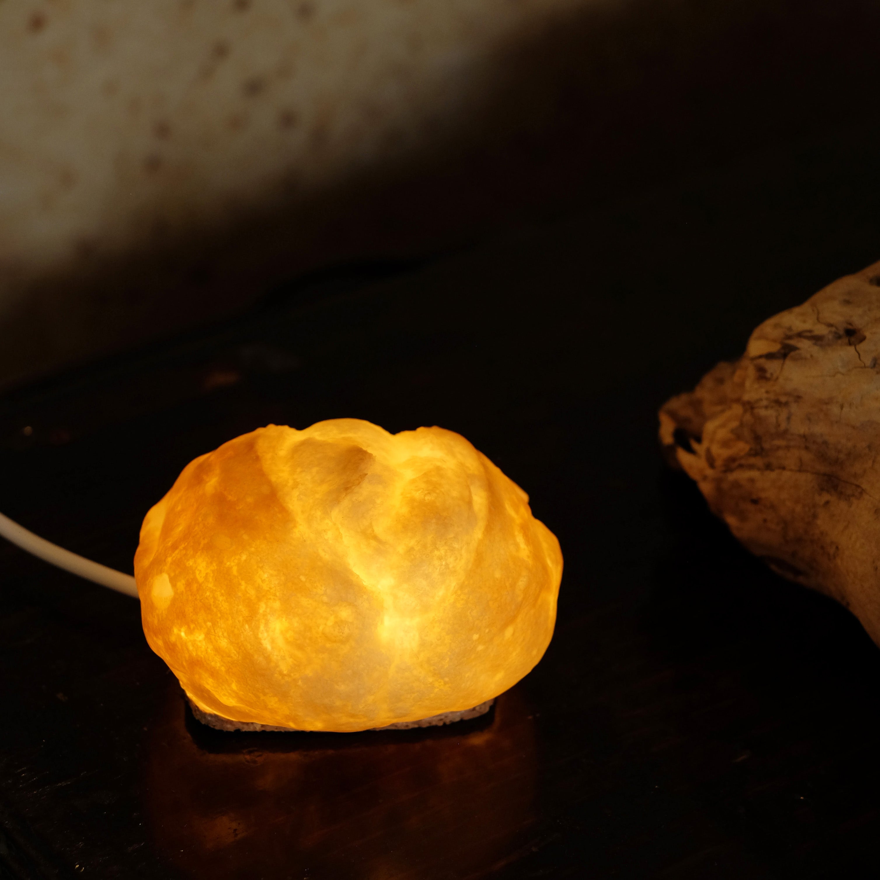 Limited Collection | プチブール Bread Lamp (USBタイプ)
