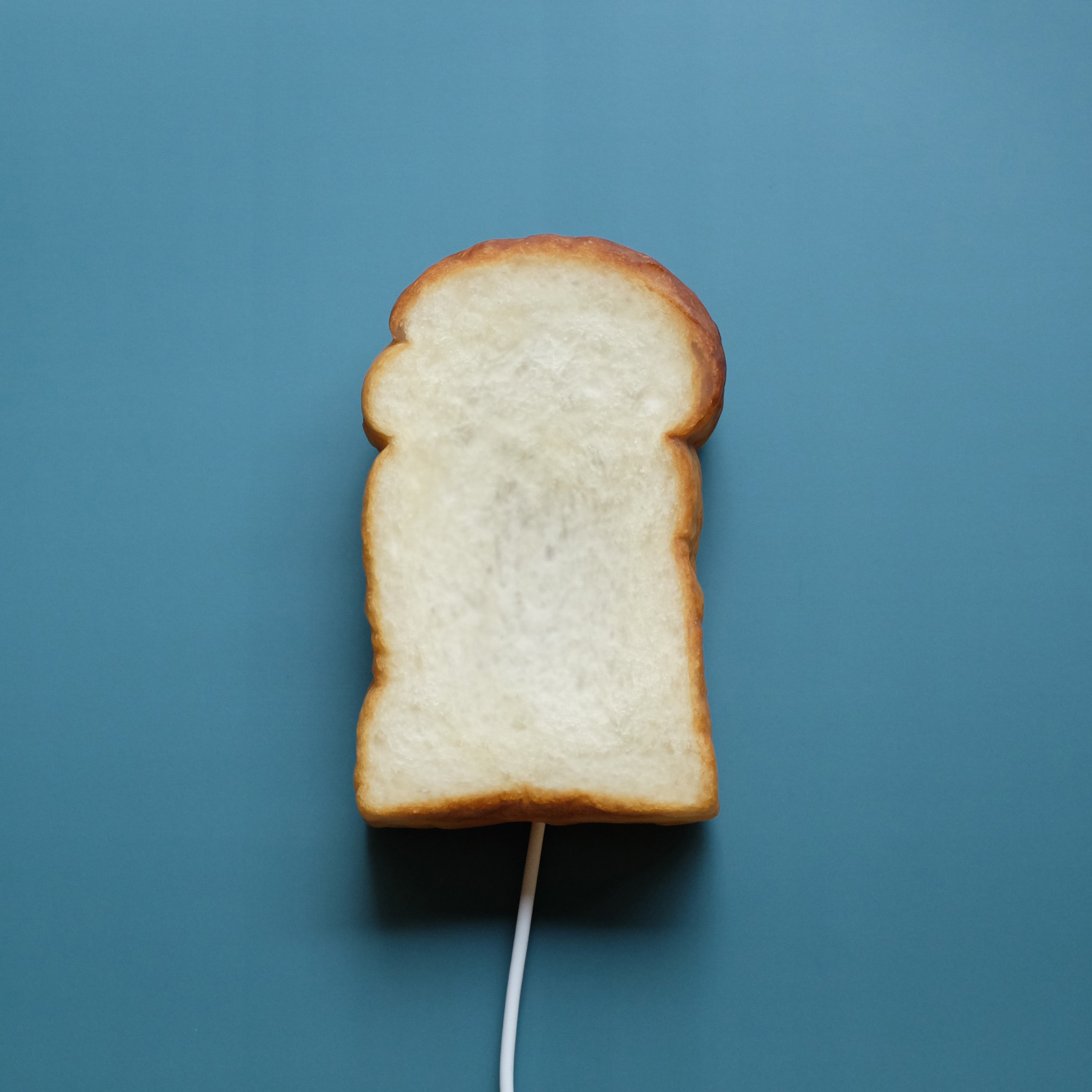 Limited Collection | トースト(山食) Bread Lamp (USBタイプ)