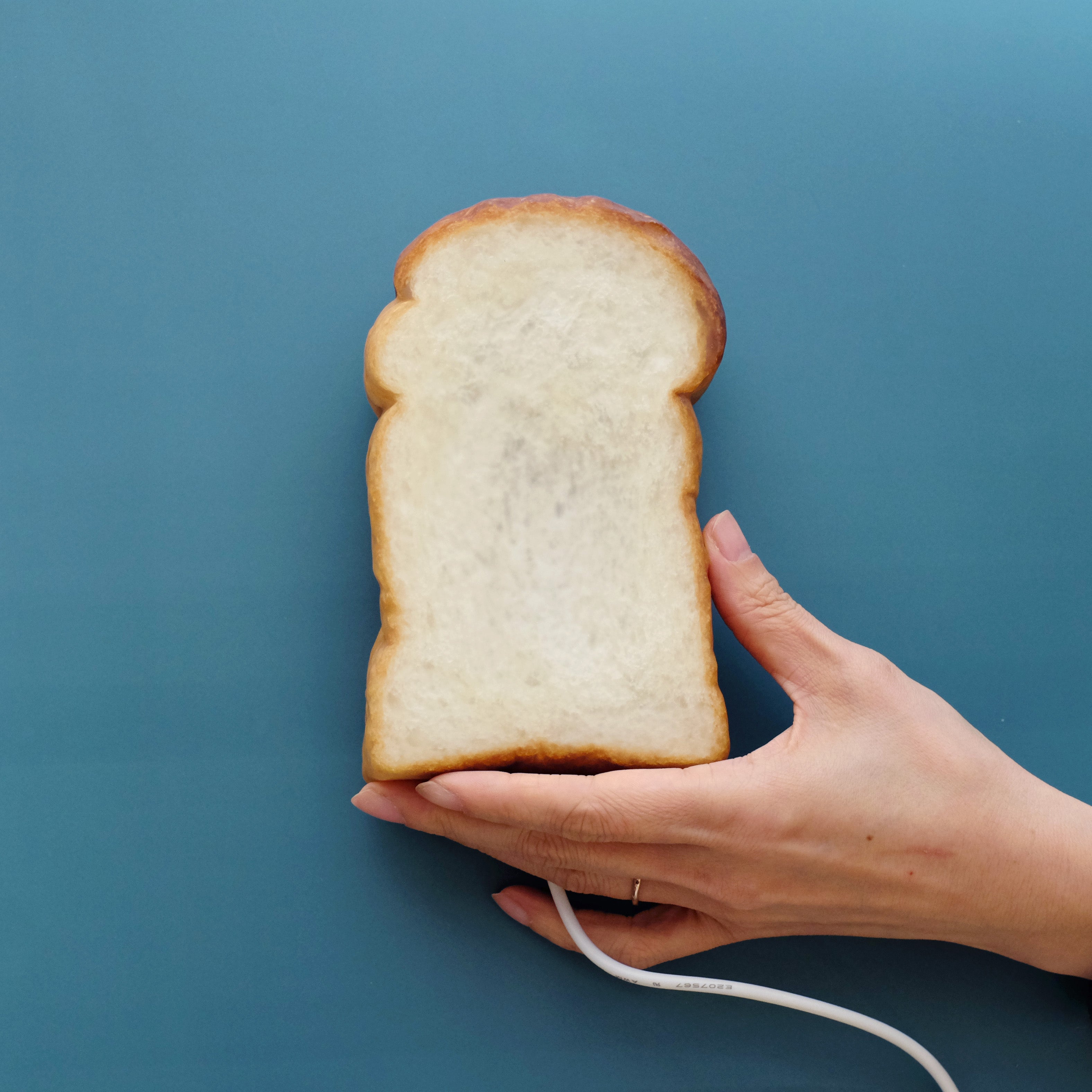 Limited Collection | トースト(山食) Bread Lamp (USBタイプ)