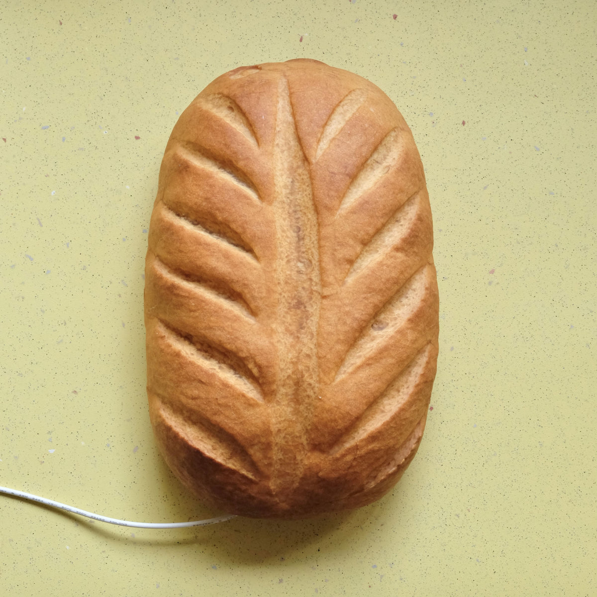 Limited Collection | Giant Leaf Bread Lamp
