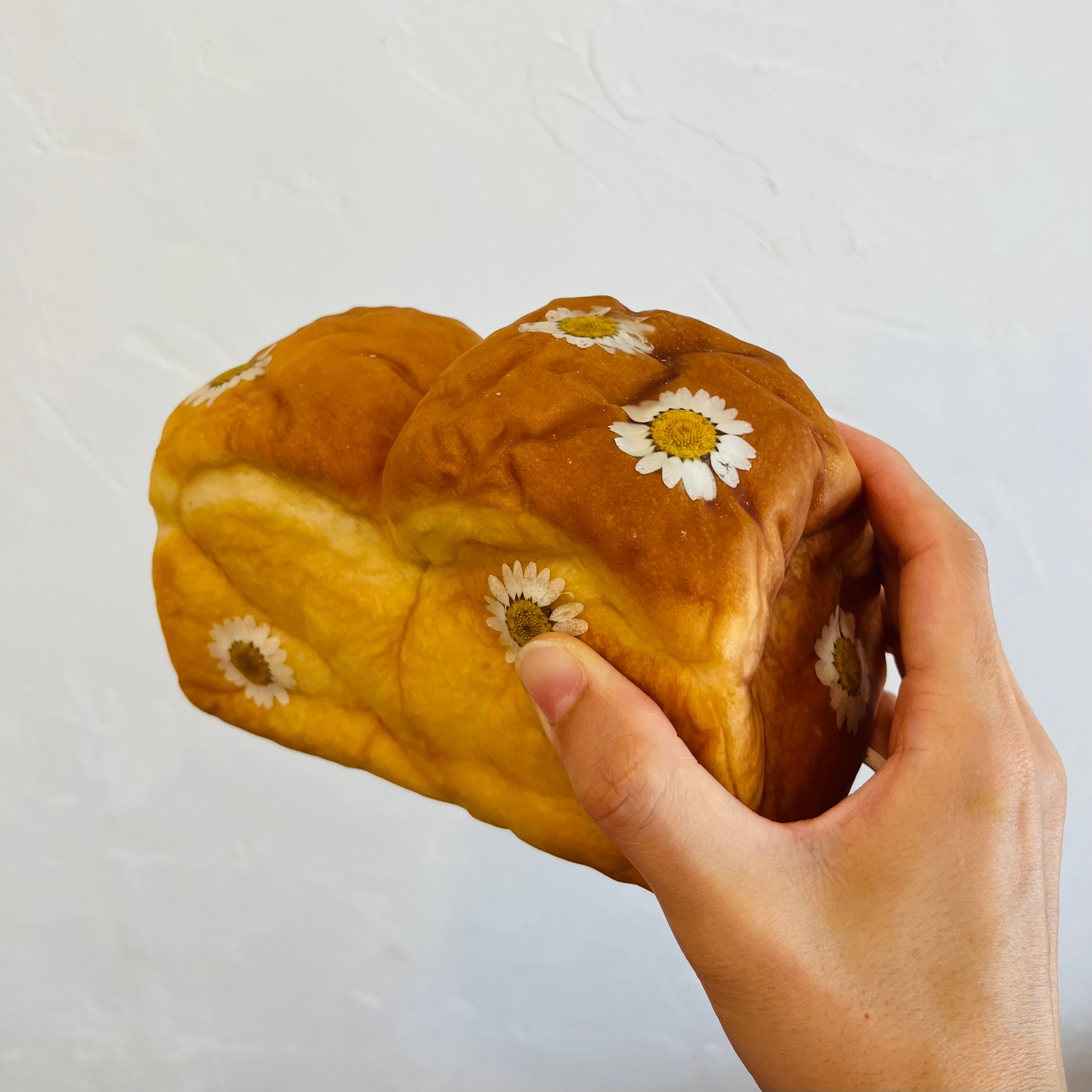 Limited Collection |Pan de Mie with flower