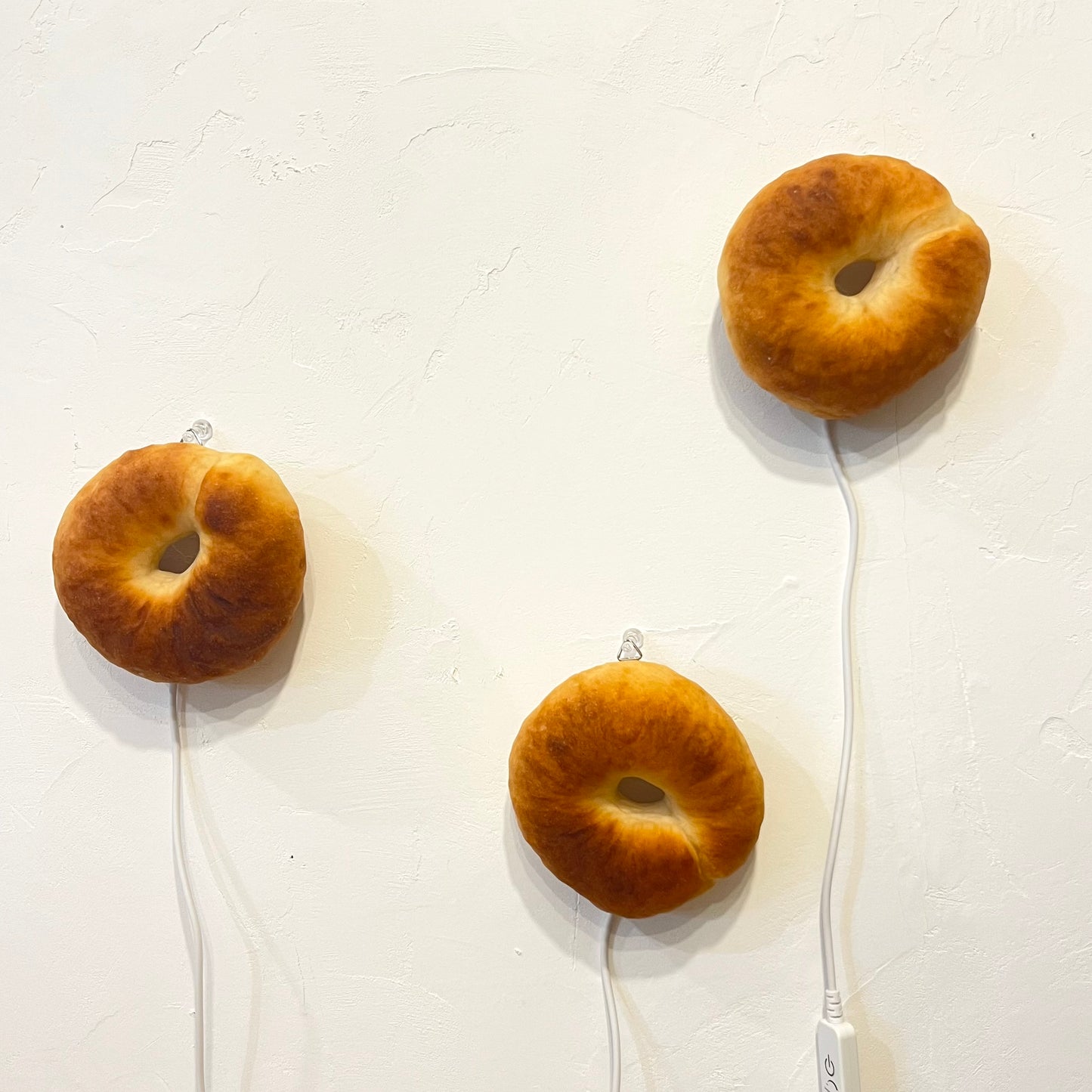 #1 【Limited quantity】Bakery 360° x PAMPSHADE (outlet type)