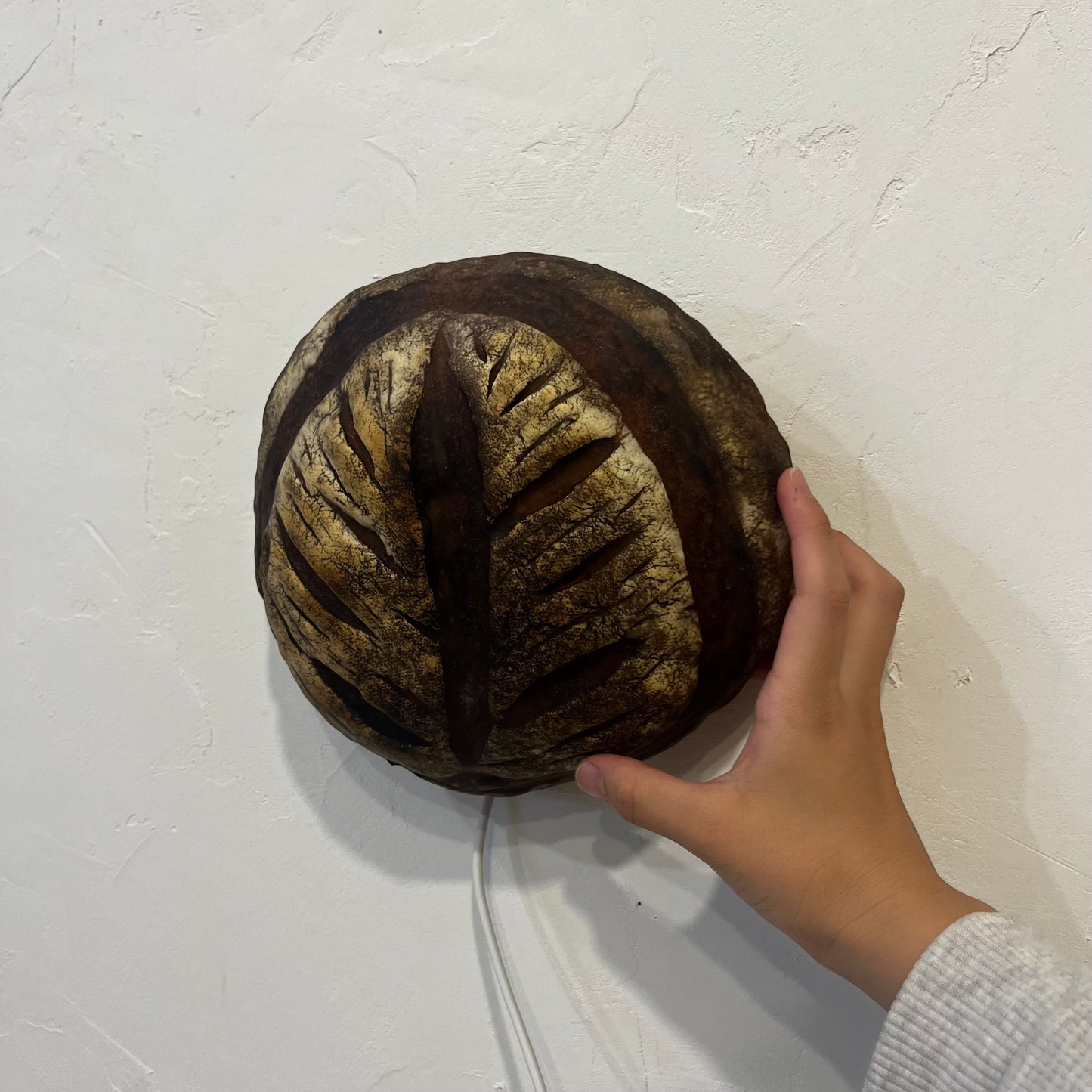 #1 【Limited quantity】Bakery 360° x PAMPSHADE (outlet type)