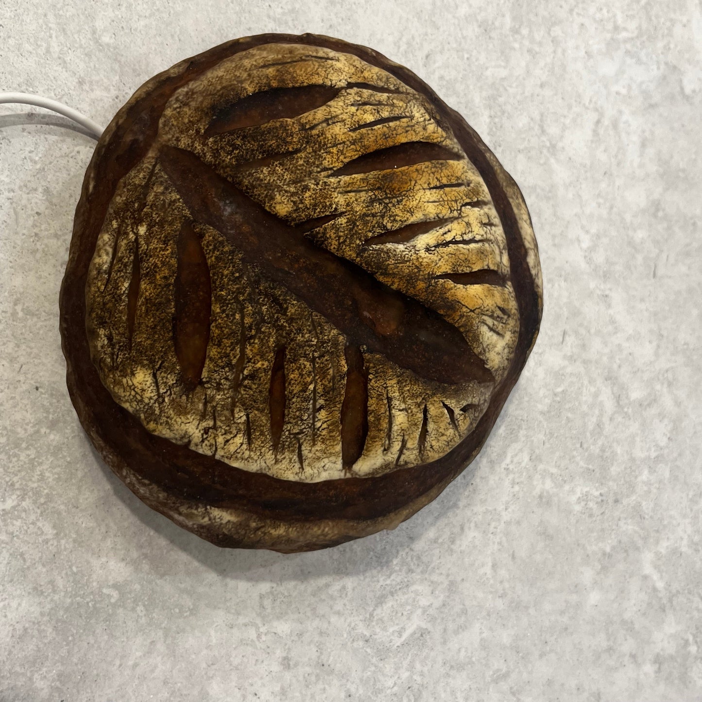 #1 【Limited quantity】Bakery 360° x PAMPSHADE (outlet type)