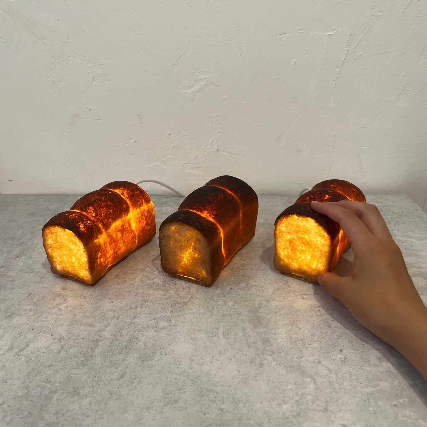 #5【Limited quantity】Bakery 360° x PAMPSHADE (outlet type)