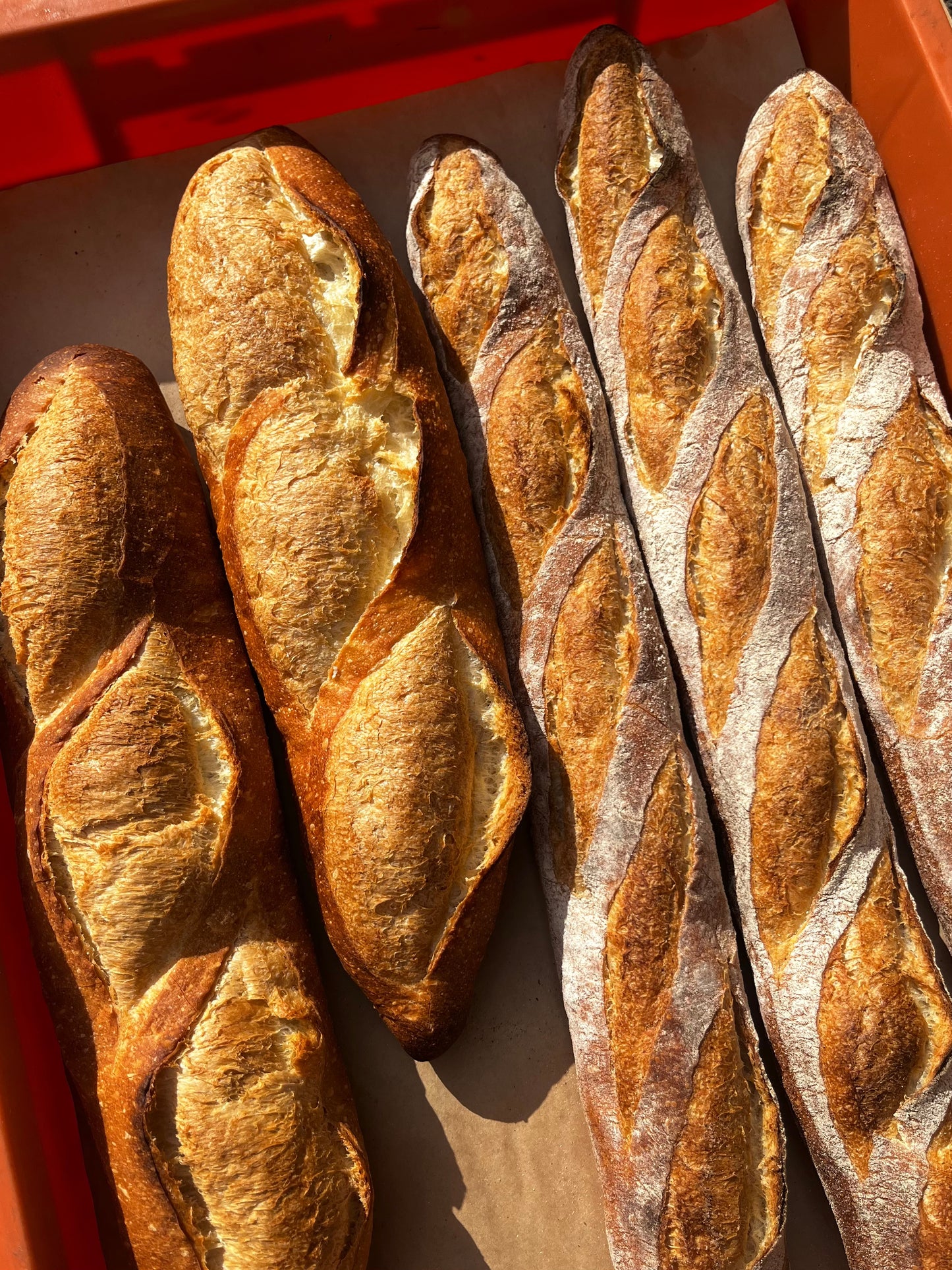 Lámpara Buttar Bread (tipo de USB)