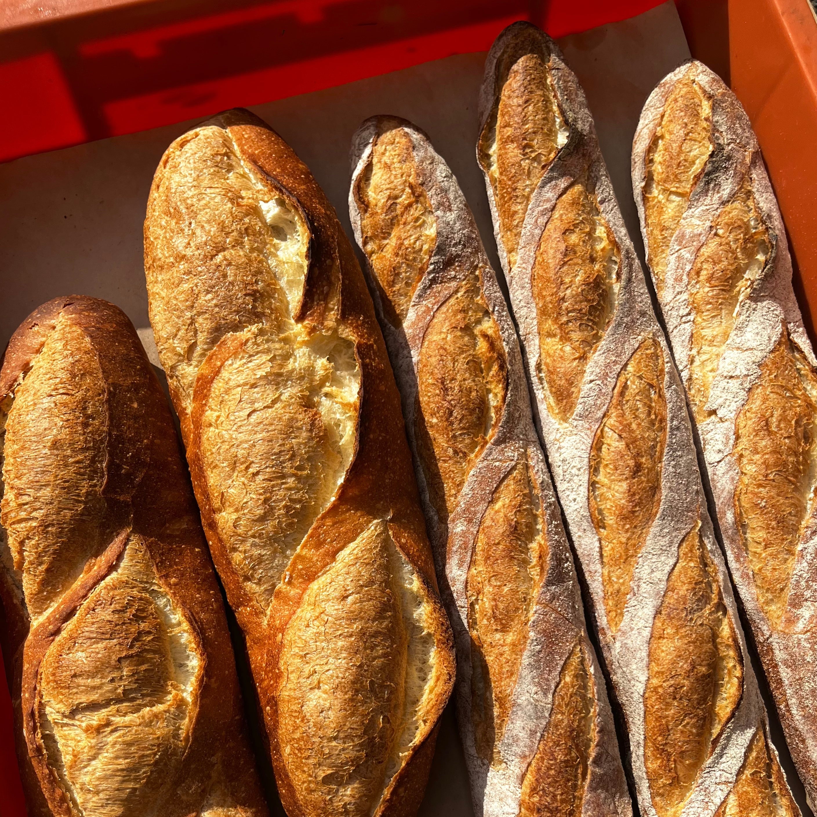 Lampe à pain baguette (type de USB)