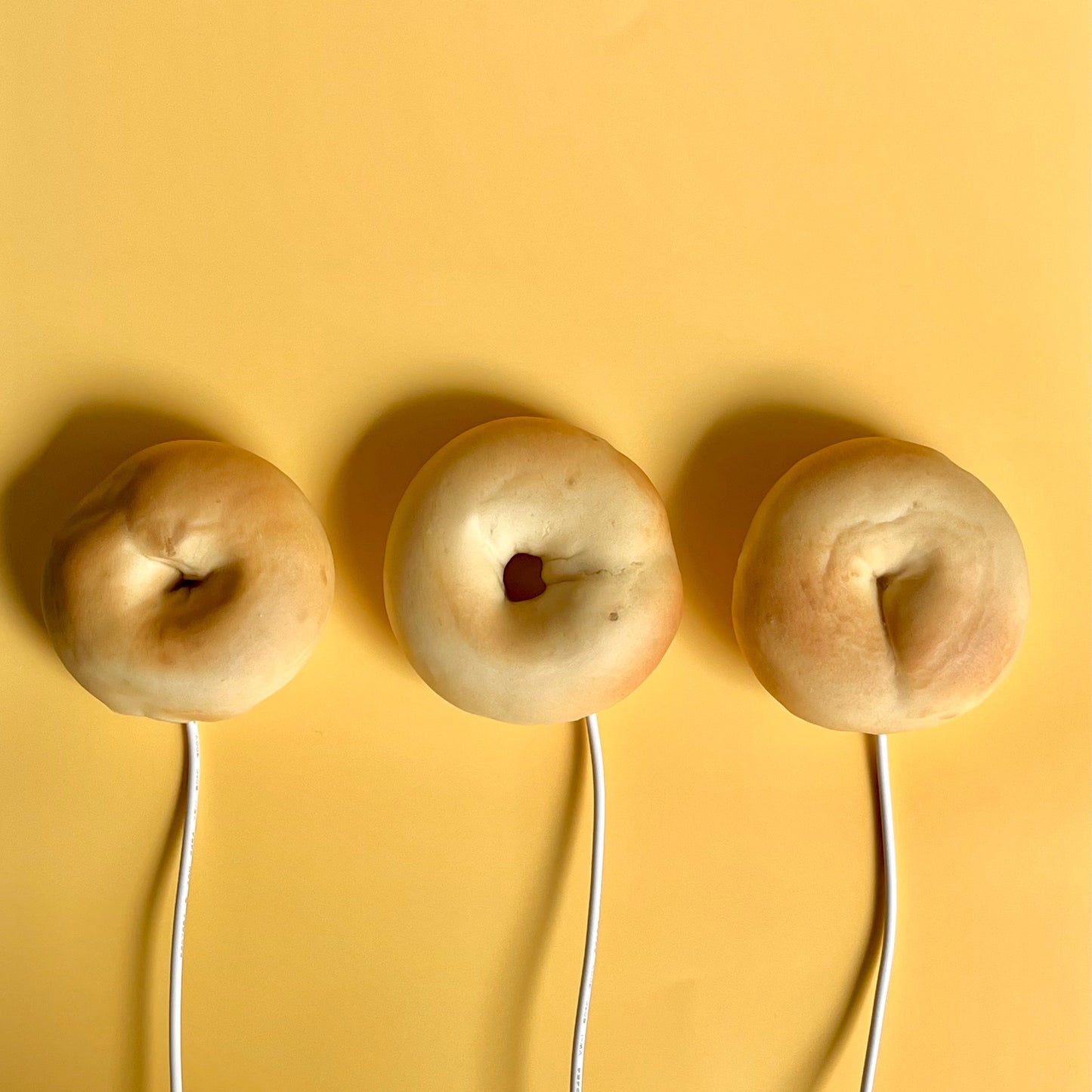 Limited Collection |Bagel