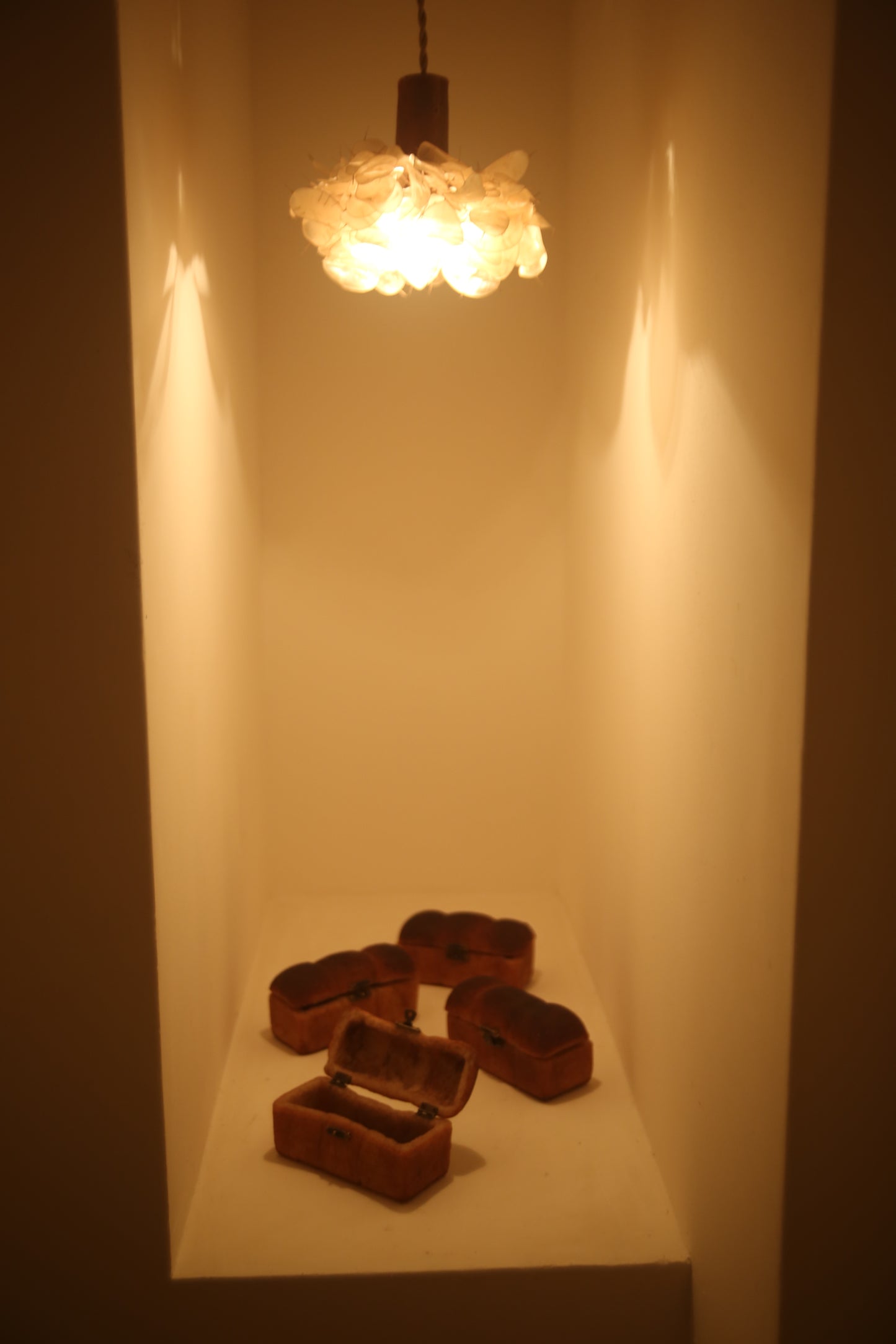 #2【Limited quantity】Bakery 360° x PAMPSHADE (outlet type)