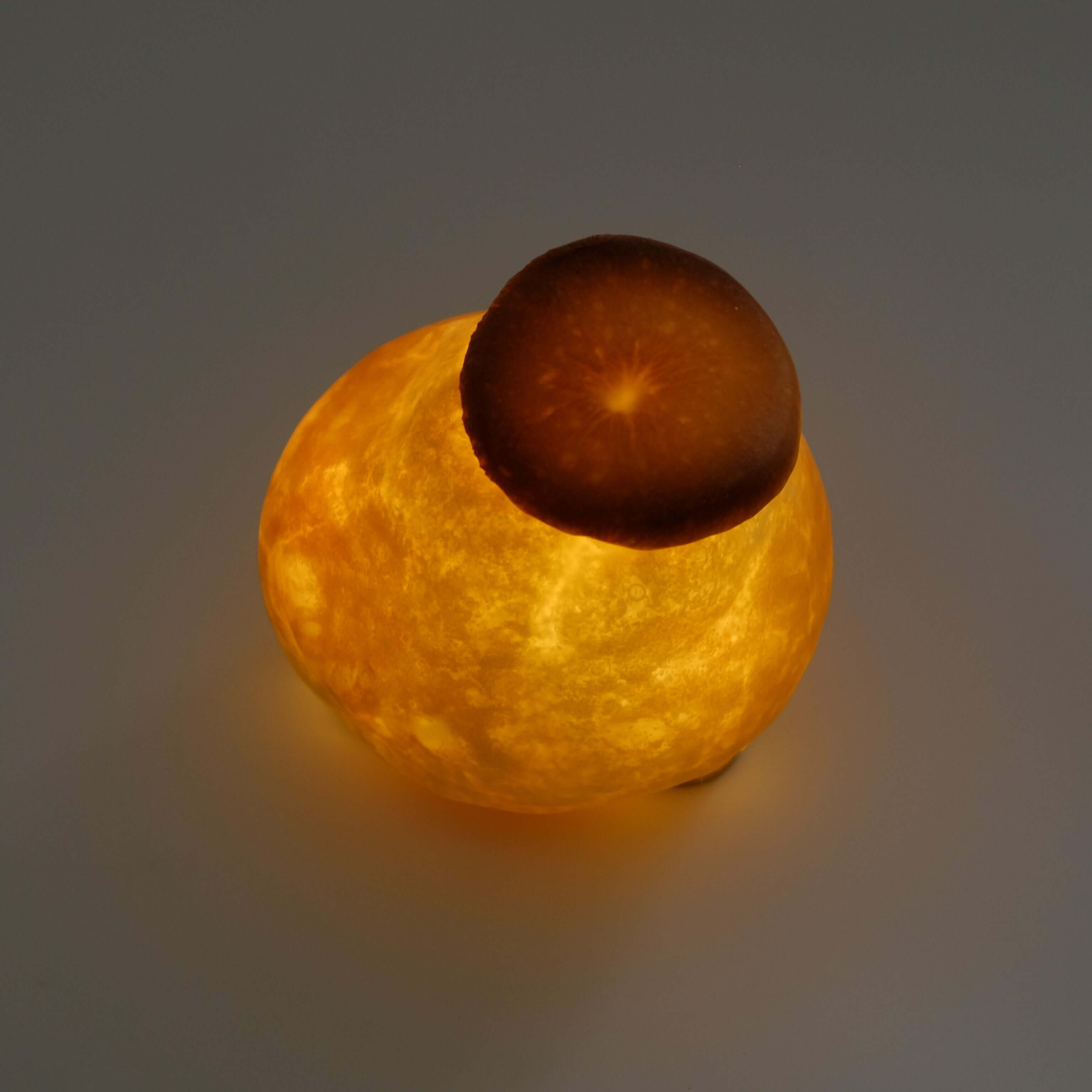 シャンピニオン Bread Lamp (電池タイプ)| PAMPSHADE | Yukiko Morita PAMPSHADE Online shop