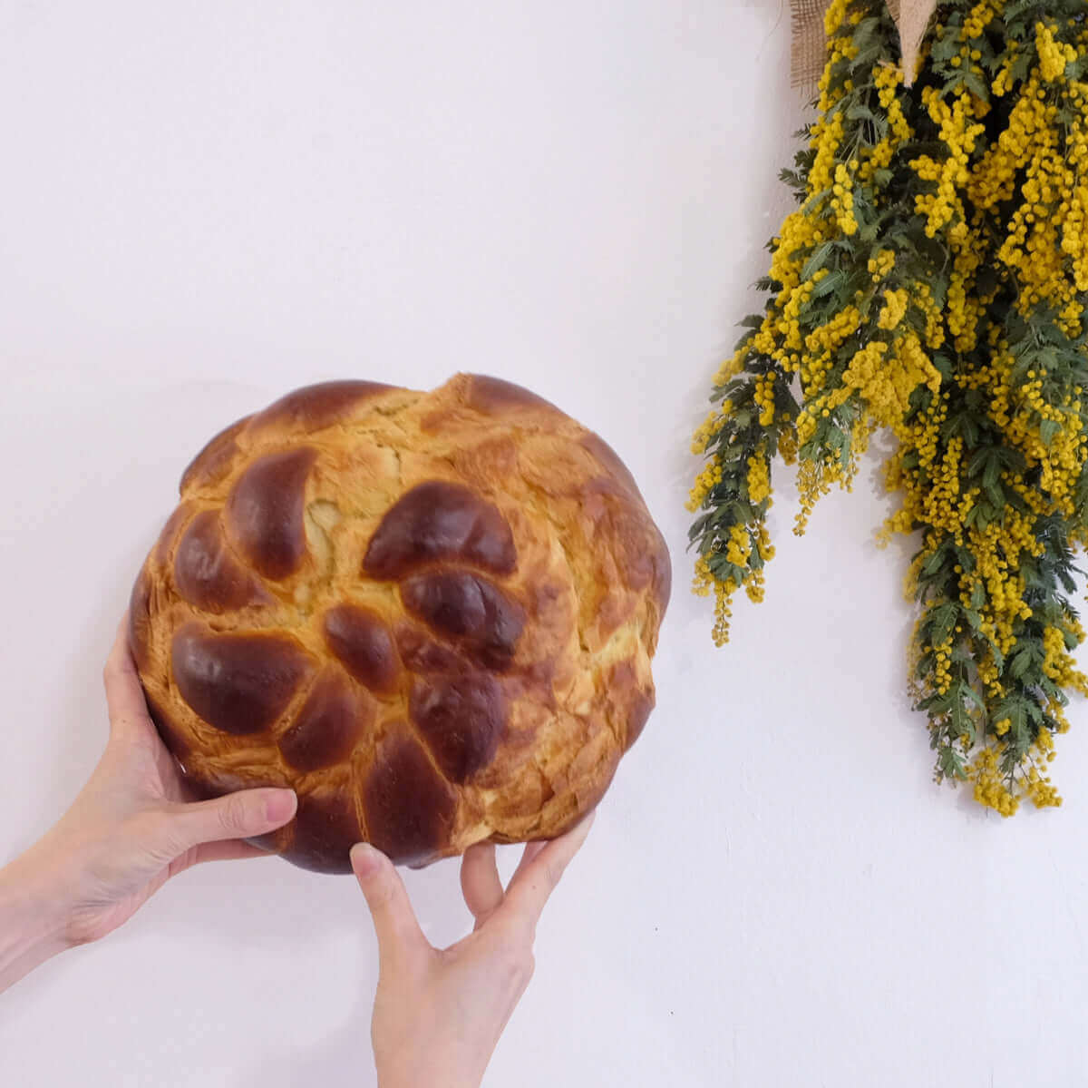 Paska(パスカ) Bread Lamp (コンセントタイプ)| PAMPSHADE | Yukiko Morita PAMPSHADE Online shop