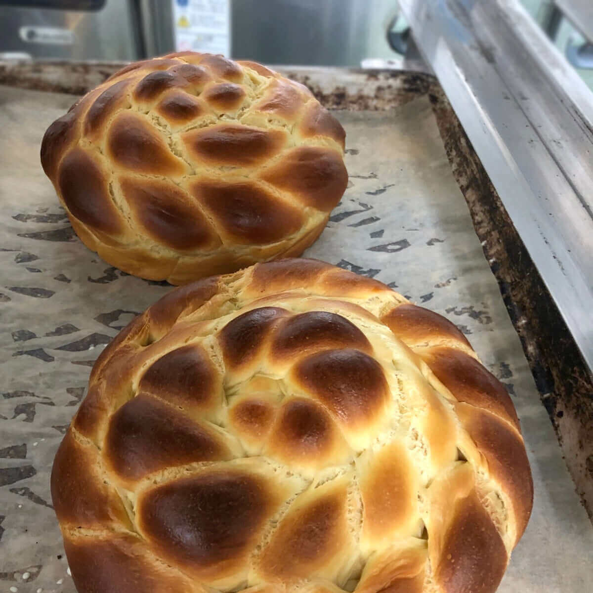 Paska(パスカ) Bread Lamp (コンセントタイプ)| PAMPSHADE | Yukiko Morita PAMPSHADE Online shop