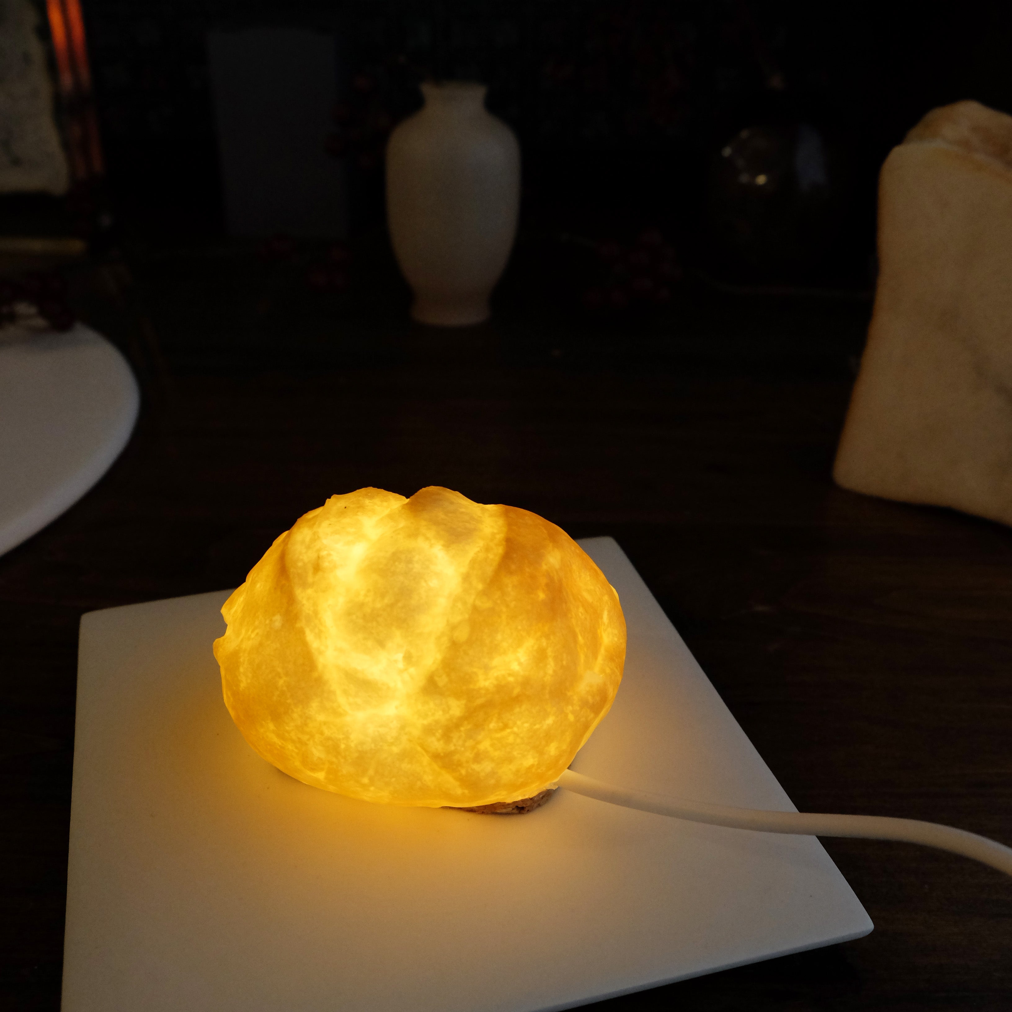Limited Collection | プチブール Bread Lamp (USBタイプ)