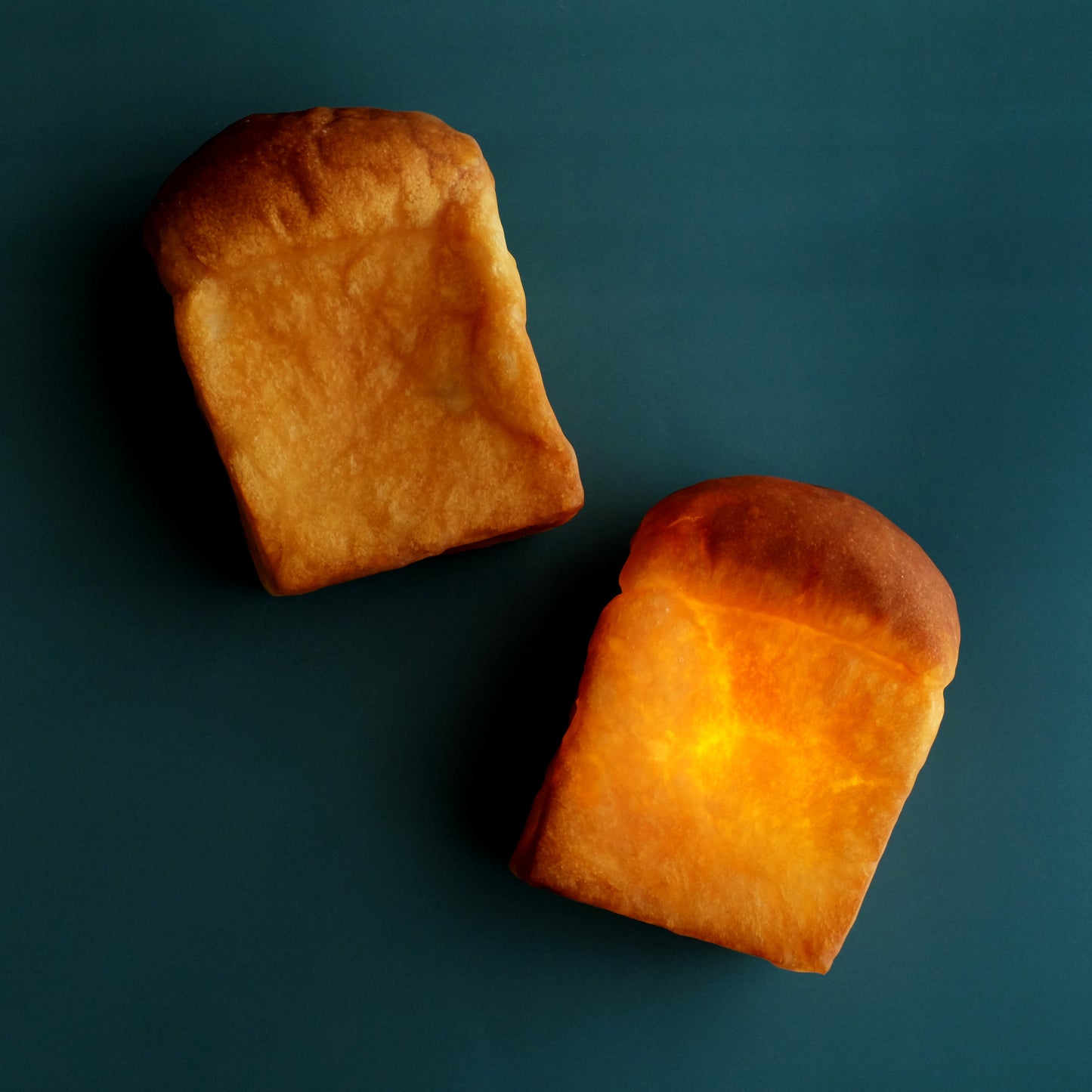 Limited Collection | The End Piece of Toast-B Bread Lamp