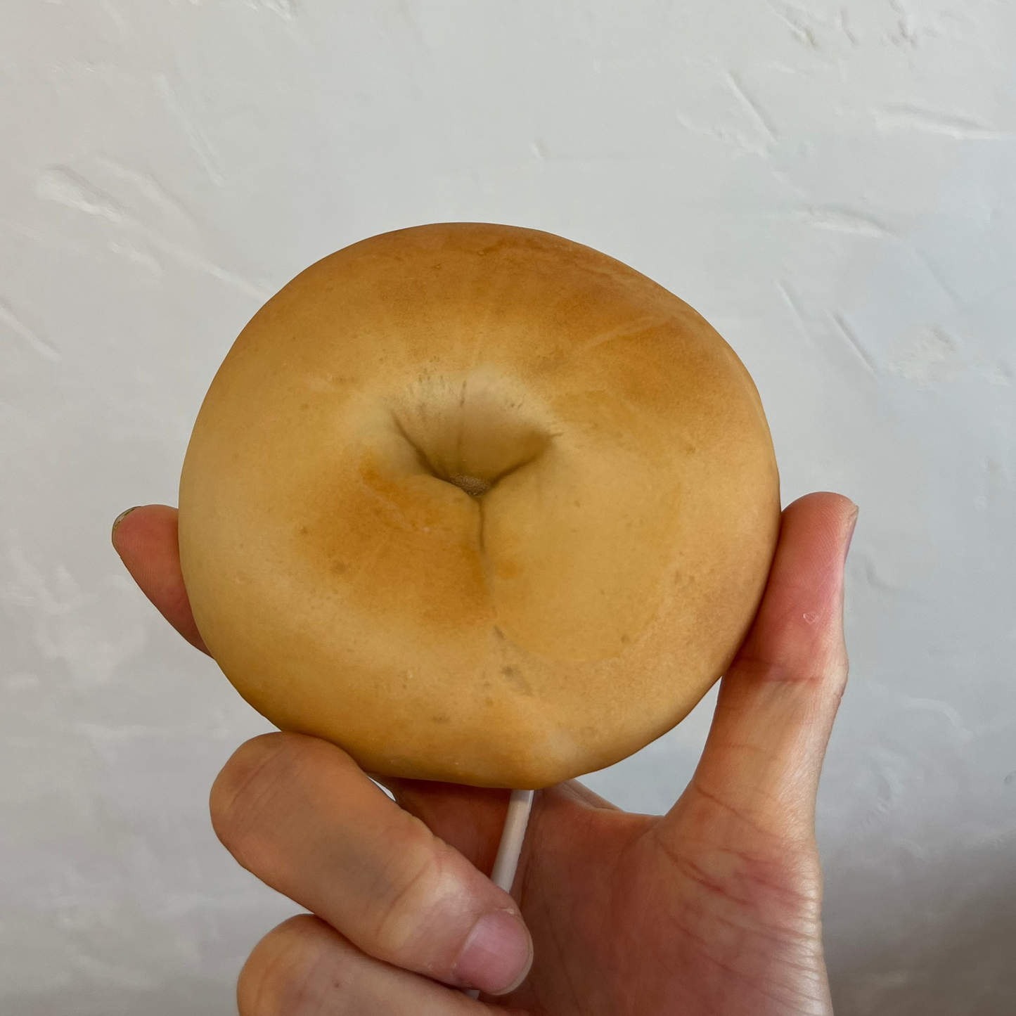 Limited Collection |Bagel