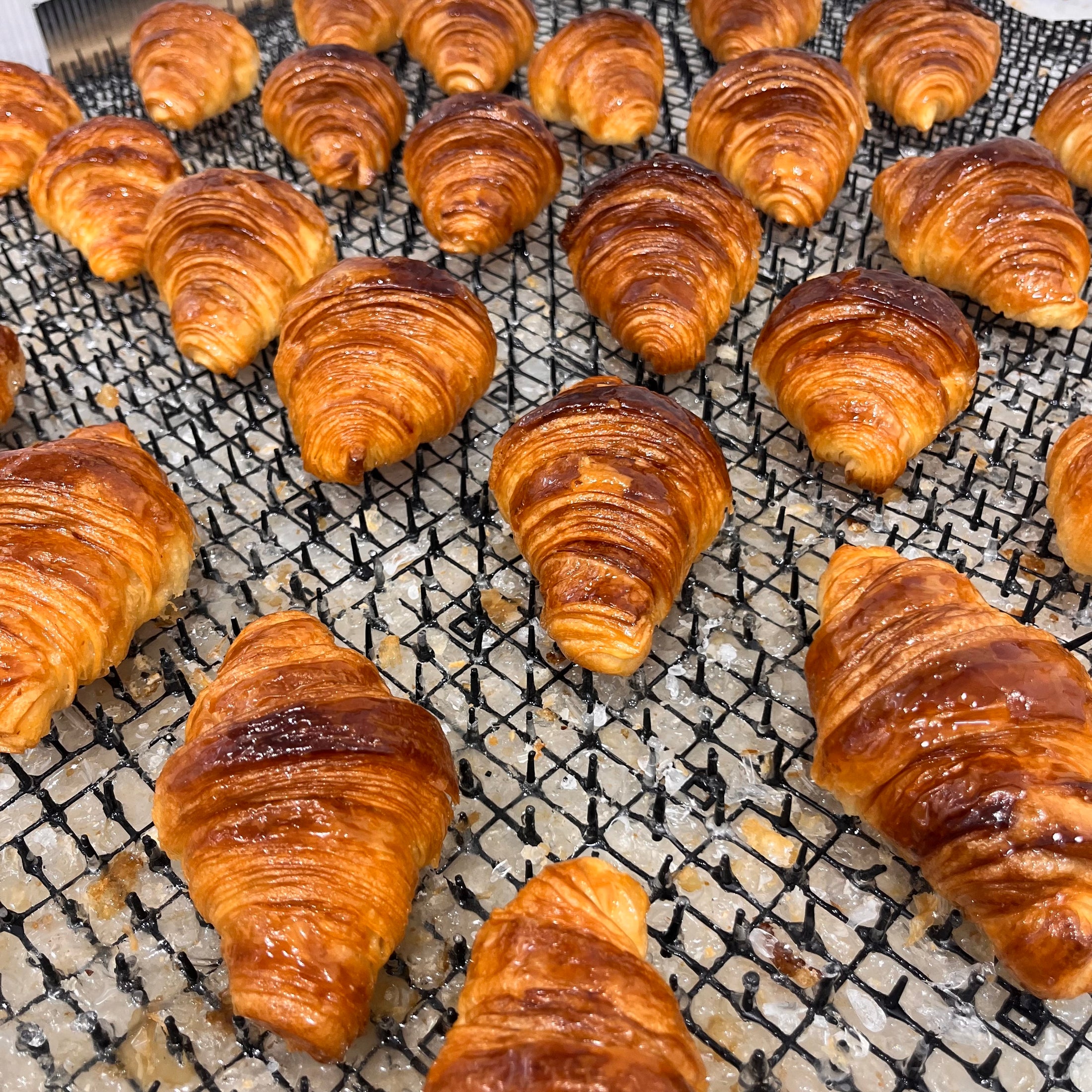 Pampshade Battery Powered Croissant Bread Lamp – Yukiko Morita ...