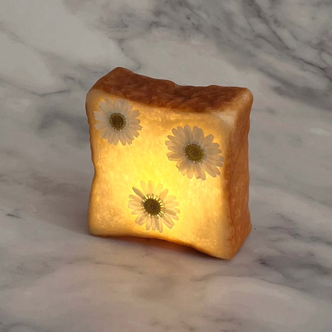🌼Daisy Toast-A Light bread lamp
