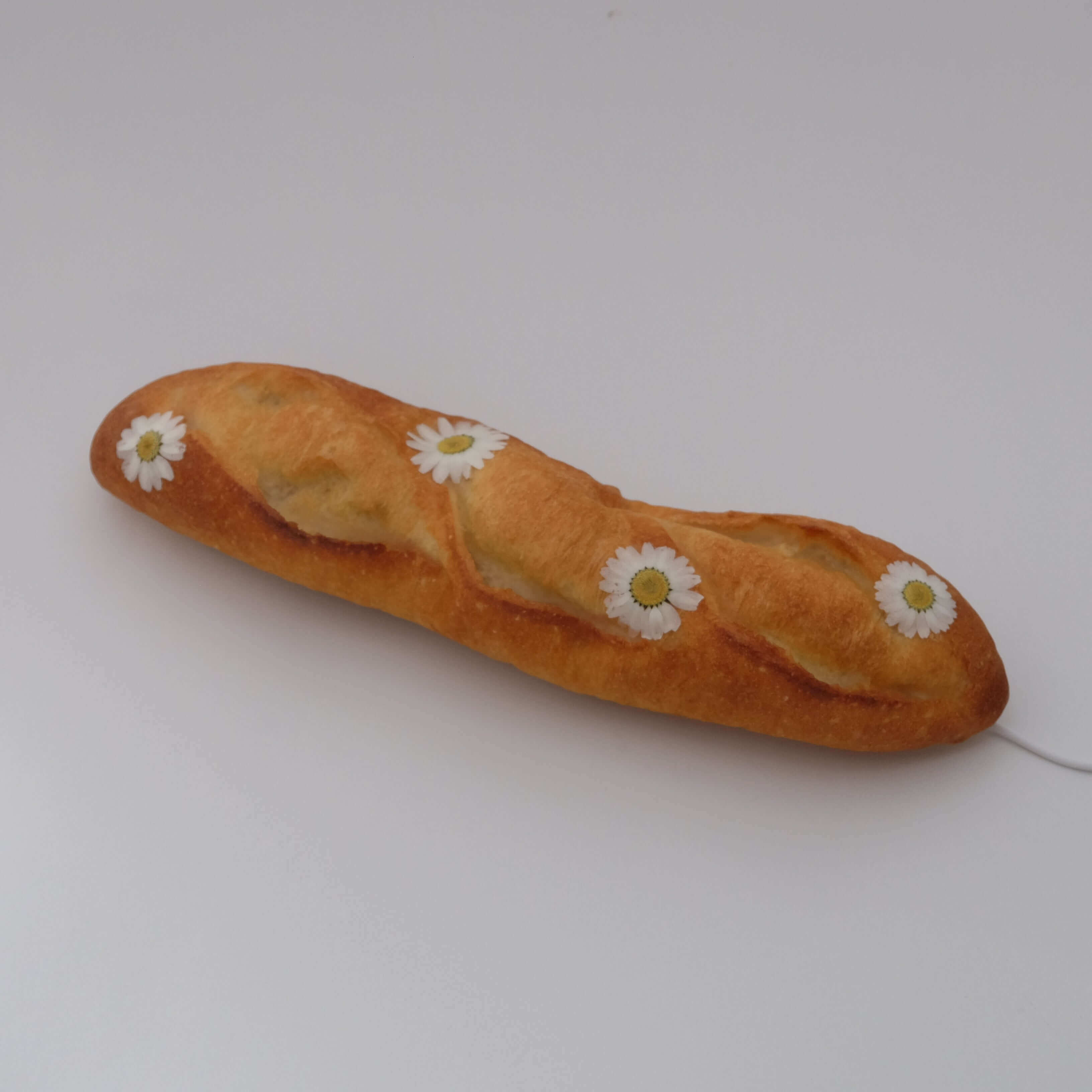 Dauphinette x Pampshade [受注販売] with flowers | Yukiko Morita PAMPSHADE Online shop
